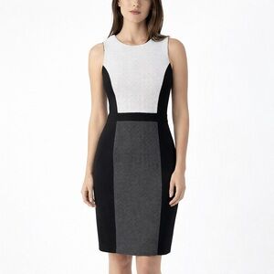 Ann Taylor Factory Dress Sz 6 Career Office Work Wear professional black white